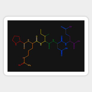 PRIDE Amino Acid Chain Magnet